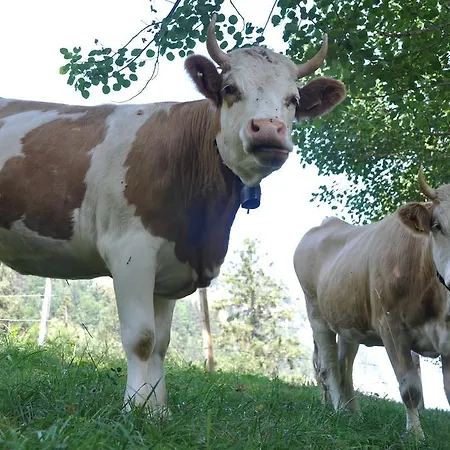 Apartamento Town House Sleeps 12 Guests